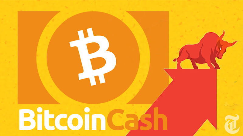 ビットコインキャッシュ（BCH）に注目が集まる理由と価格予測