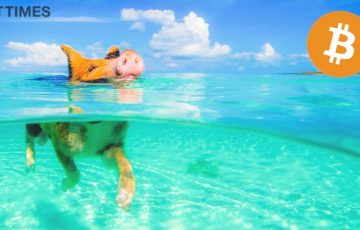 カリブ海諸国が仮想通貨決済を導入？｜ビットコインリゾート