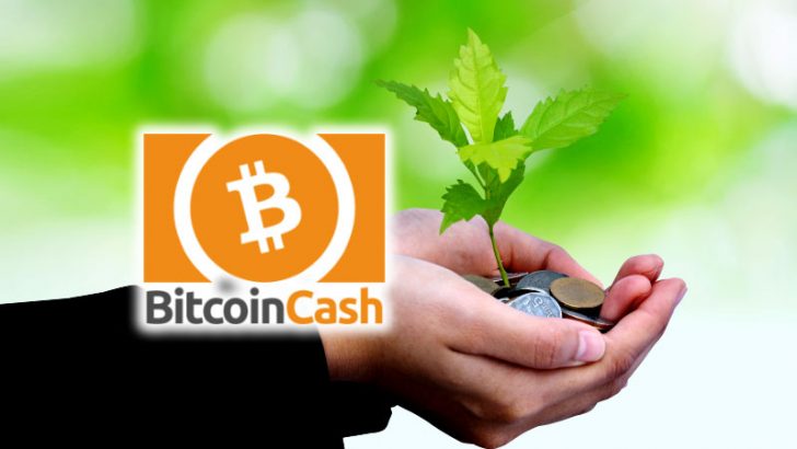 ビットコインキャッシュで簡単に寄付を募る｜Akari-Pay