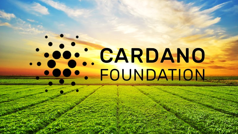 cardano-farm