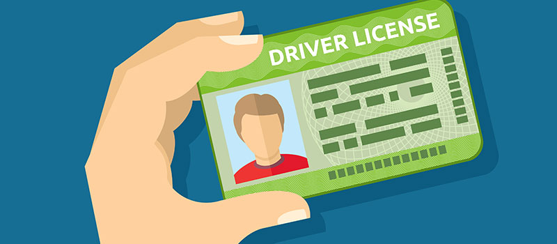 Drivers-license
