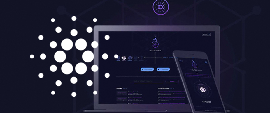 cardano_002