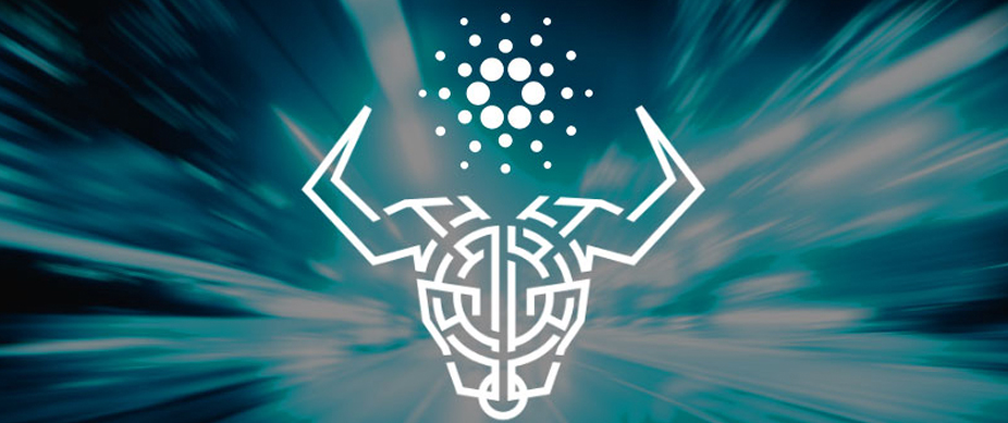cardano_006