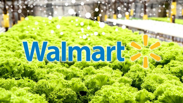 Walmart：ブロックチェーンを食品の衛生管理に活用｜レタスの安全性を向上