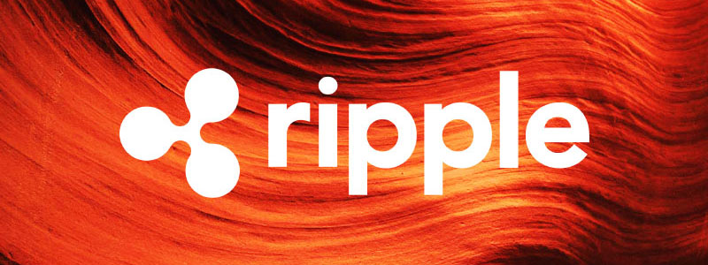 xrapid