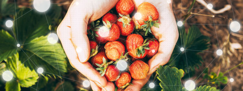 Agriculture