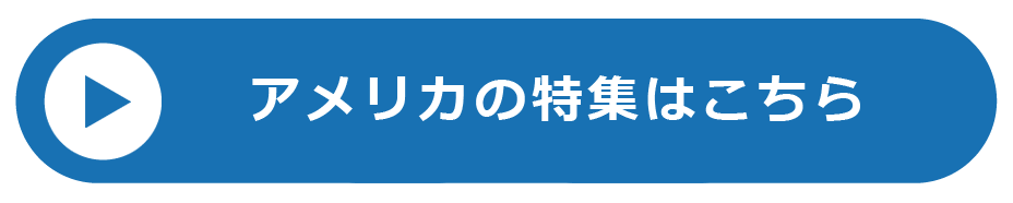 アメリカのボタン
