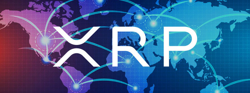 xrp-net
