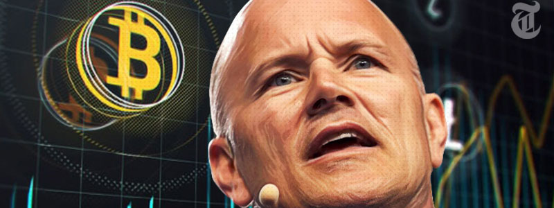 Novogratz-Novogratz