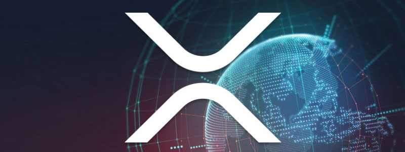 XRP-net-work