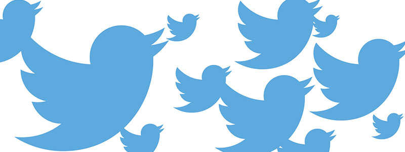 Twitter-bird
