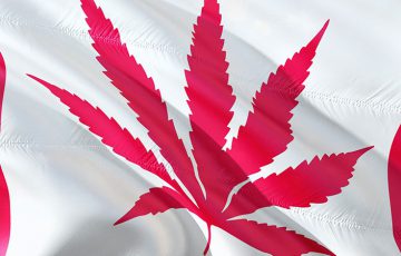 カナダの大麻合法化で「匿名仮想通貨」の使用量が増加する｜eToroアナリスト