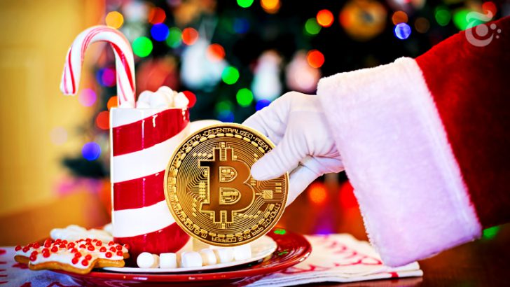 「サンタさん、ビットコイン価格を上げて！」ホルダーから届くクリスマスメッセージ
