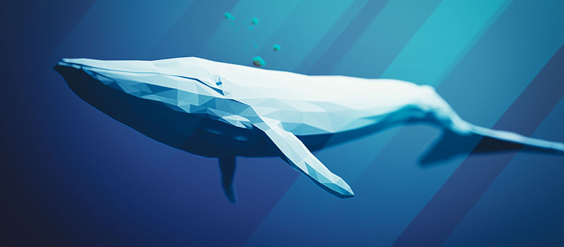 whale