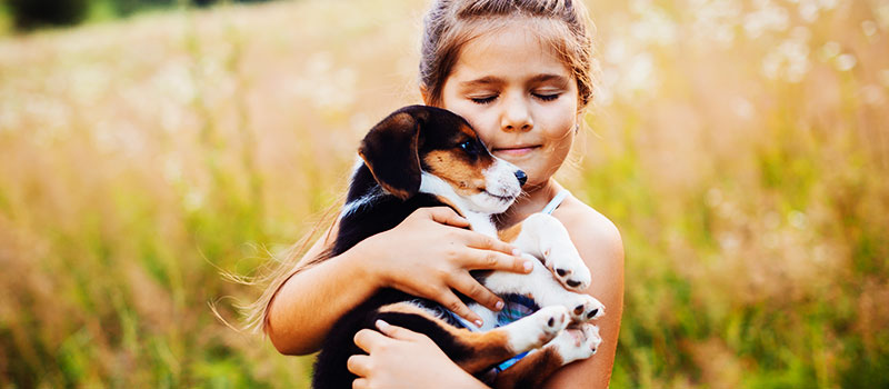pet