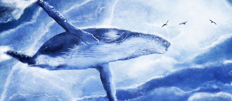 whale