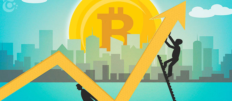 BTC-support