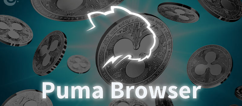 Puma-Browser