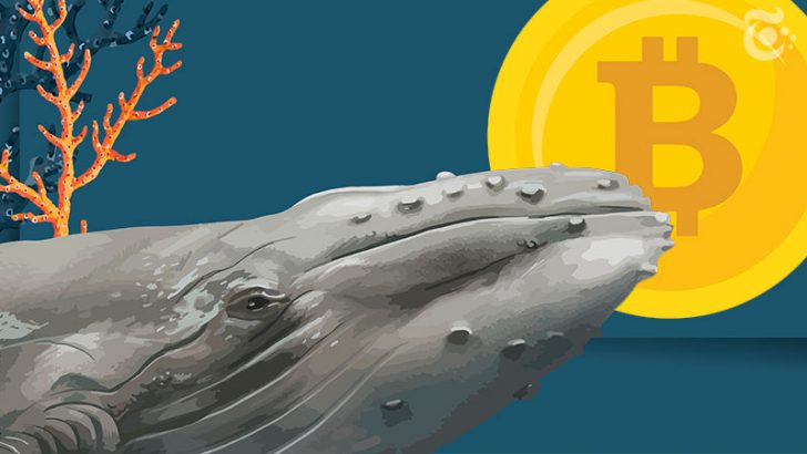 ビットコインクジラ「数億円規模の出金報告」相次ぐ｜中央銀行への信頼低下も影響か