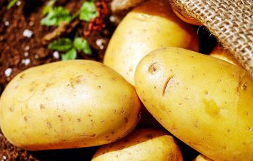 IBMのブロックチェーンで「じゃがいも食品」の情報管理｜Nestlé×Carrefour