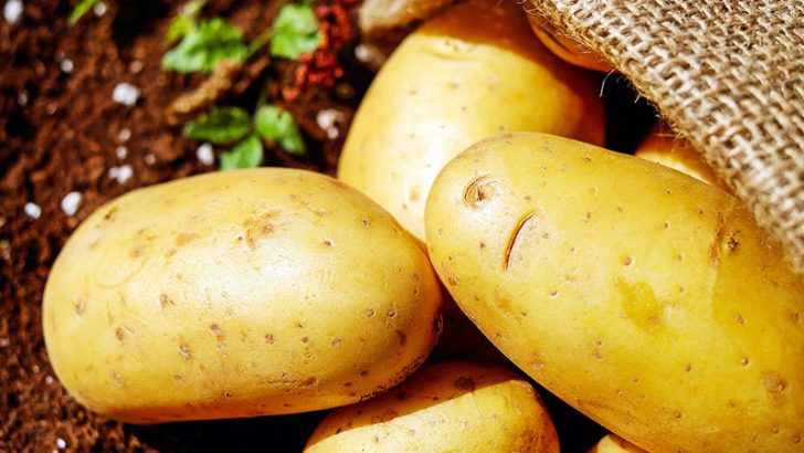 IBMのブロックチェーンで「じゃがいも食品」の情報管理｜Nestlé×Carrefour