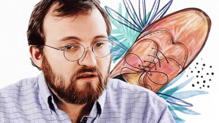 Shellyメインネット、年内リリースできなければ「自分の靴食べる」Charles Hoskinson