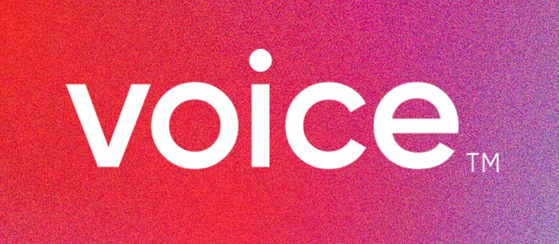 Voice-logo