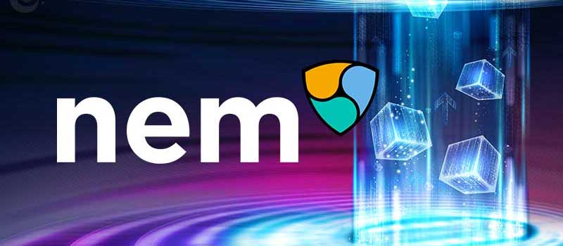 NEM-update