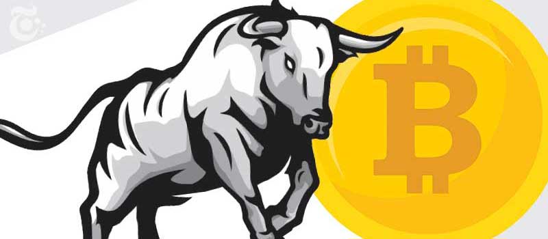 Bitcoin-Bull