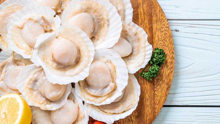 ホタテ食品のトレーサビリティにブロックチェーン技術活用：Raw Seafoods