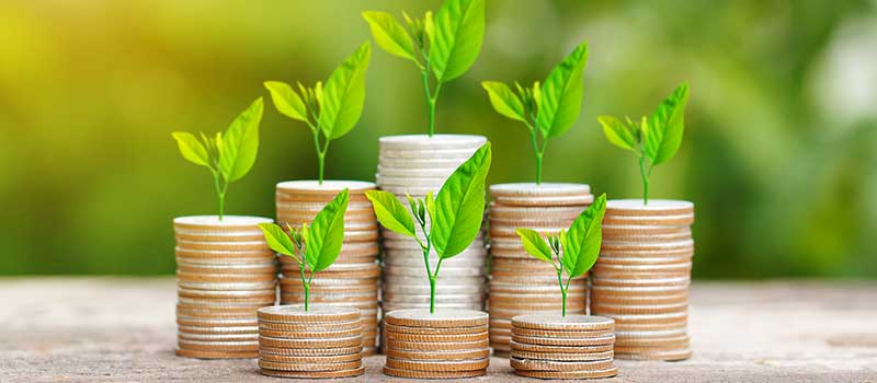 Mutual-fund
