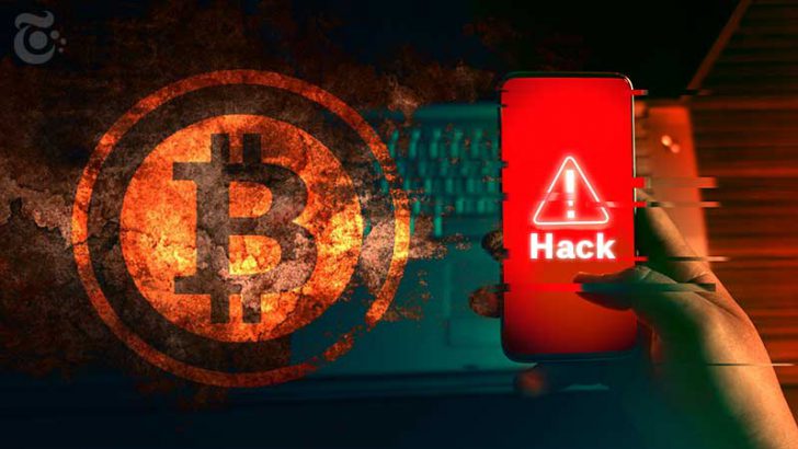 クジラが保有する仮想通貨「約50億円相当」が流出｜個人がハッキング被害に