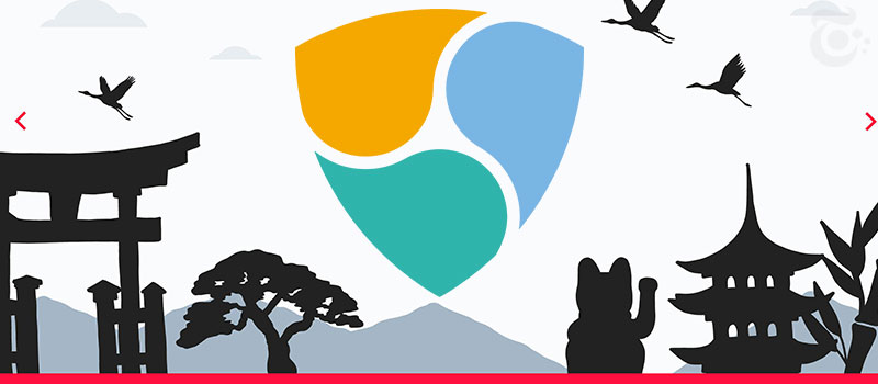 NEM-Japan-Team