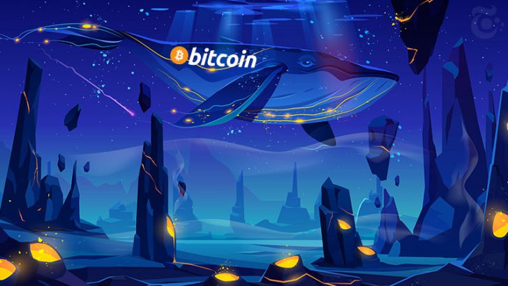 半減期前にして「ビットコインクジラ」急増中｜1,000BTC以上の大口取引も多数報告