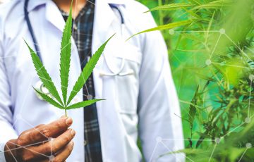 ブロックチェーン用いた「医療用大麻の情報追跡アプリ」今夏公開へ：ウルグアイ企業