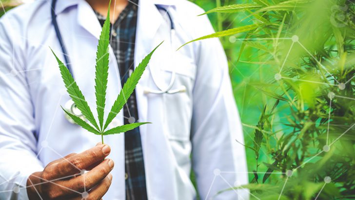 ブロックチェーン用いた「医療用大麻の情報追跡アプリ」今夏公開へ：ウルグアイ企業