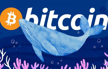 著名トレーダーが語る「ビットコインクジラ」になるための効果的な投資戦略