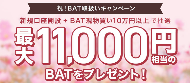 BITPoint-BAT-Campaign