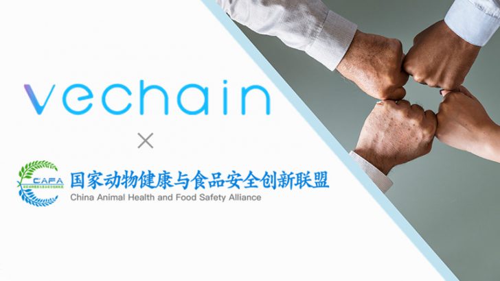 VeChain財団「中国国家動物健康・食品安全創新連盟」に参加｜130社以上を技術支援