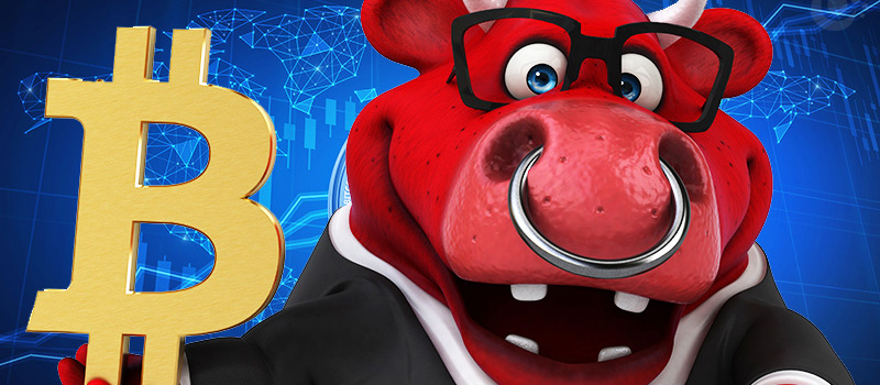 Bitcoin-BTC-Bull-PlanB