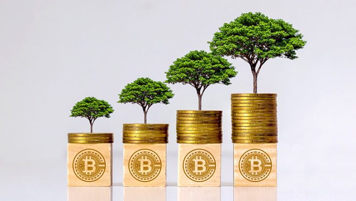ビットコインとサステナビリティ
