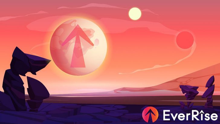 DeFiのための独自デフレメカニズムを持つ「EverRise（エバーライズ）」とは