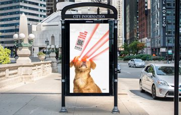 動物保護団体「PAWS Chicago」仮想通貨の寄付を受け入れ｜BTC・ETH・DOGEなど