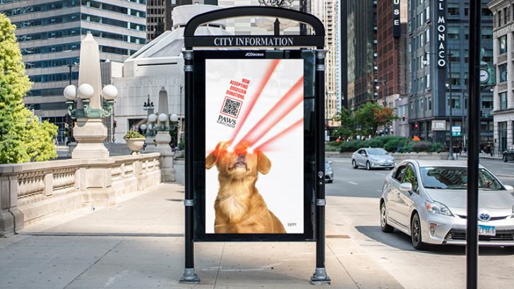 動物保護団体「PAWS Chicago」仮想通貨の寄付を受け入れ｜BTC・ETH・DOGEなど