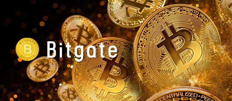 Bitgate-Himalaya-Japan