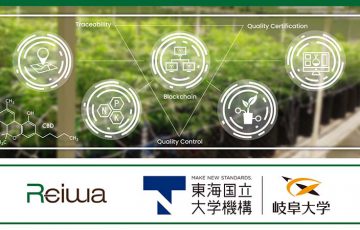 医療用大麻の栽培・流通管理で「Symbol」のブロックチェーン活用：サイアムレイワ×岐阜大学