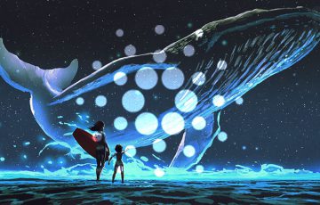 カルダノ（ADA）価格停滞は「クジラの売却」が原因？大量保有アドレス数に減少傾向