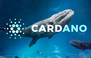 カルダノ（Cardano/ADA）価格上昇の裏で「クジラ・サメ」が増加｜蓄積段階突入か