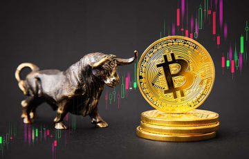 Pantera Capital創設者「仮想通貨は次の強気相場サイクルに入っている」