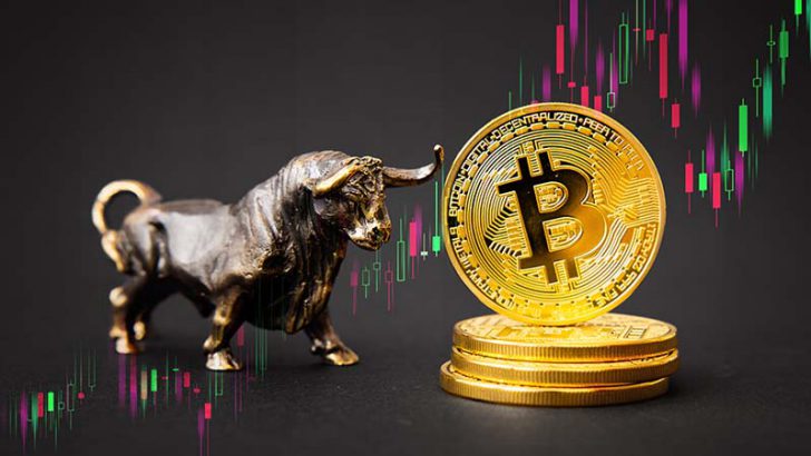 Pantera Capital創設者「仮想通貨は次の強気相場サイクルに入っている」